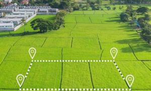 Premium residential plots in Gurgaon with clearly marked land parcels in a prime location